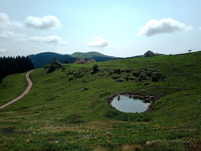 Escursione guidata: Malga Lemerle