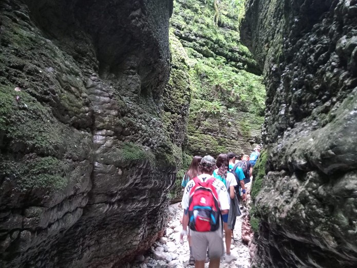 Escursione guidata: Canyon, antiche vie, storie e memorie