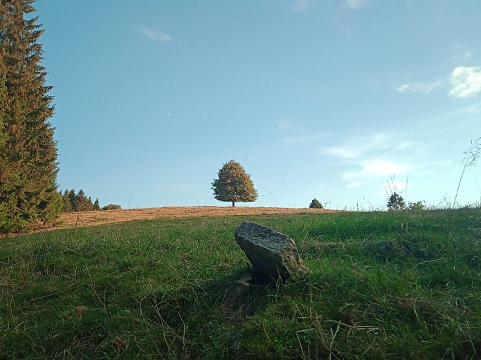 Escursione guidata: Lungo gli antichi sentieri dei boscaioli