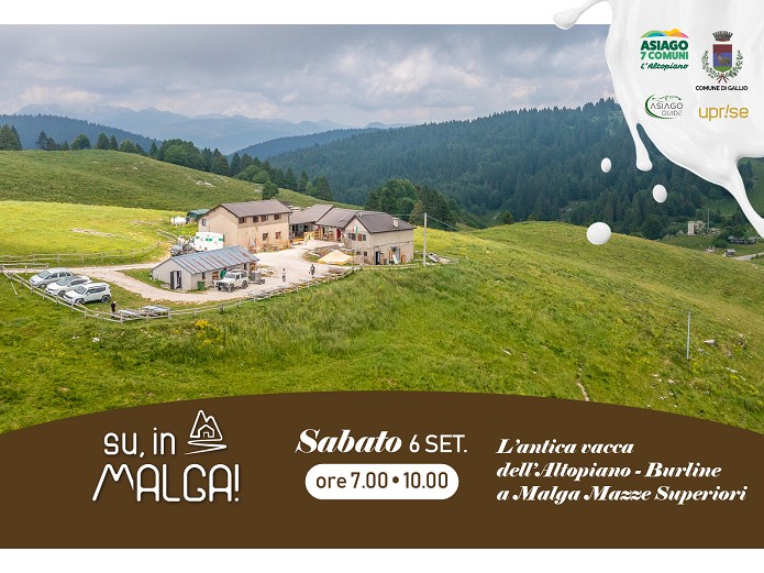 Su, in Malga! L'antica vacca dell'altopiano
