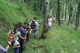 Escursione guidata: NON SOLO IMPRONTE