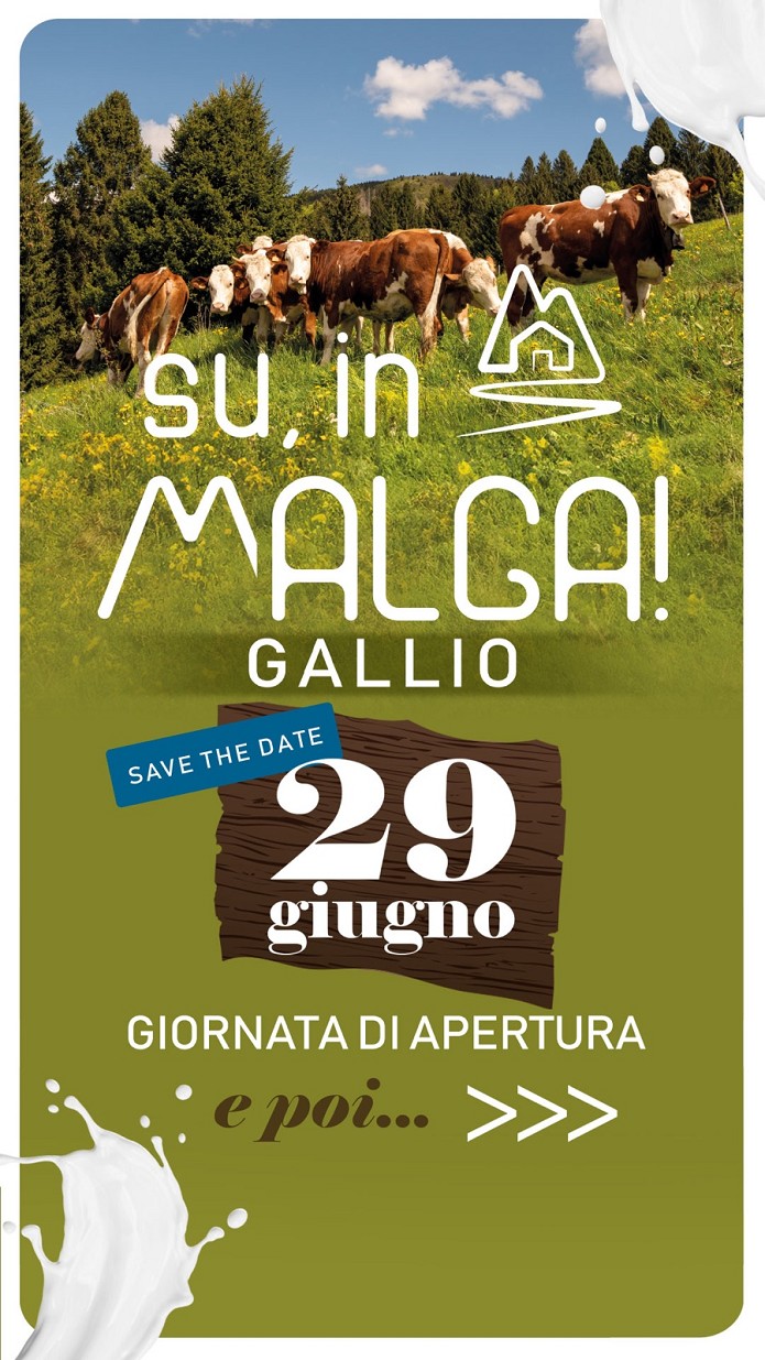 SU, IN MALGA!